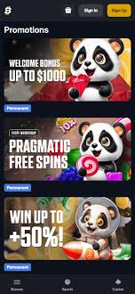 Casino Traffic Analysis Time-of-Day Trends and Insights